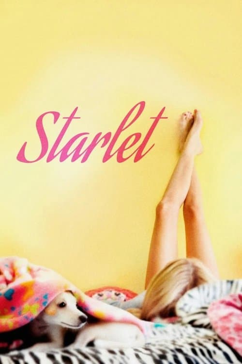 Starlet poster