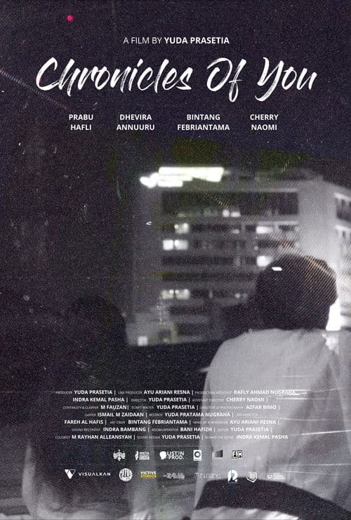Chronicles of You poster