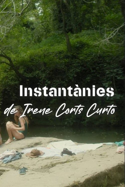Instantànies poster