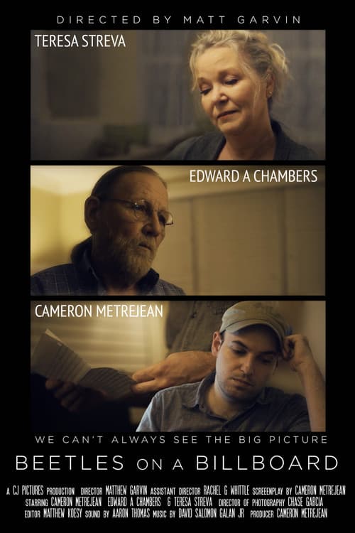 Beetles on a Billboard poster