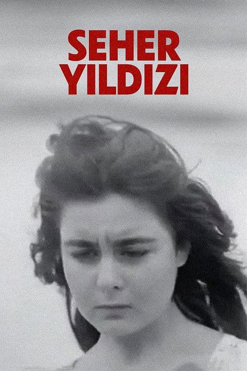 Seher Yıldızı poster