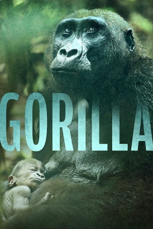 Gorilla poster