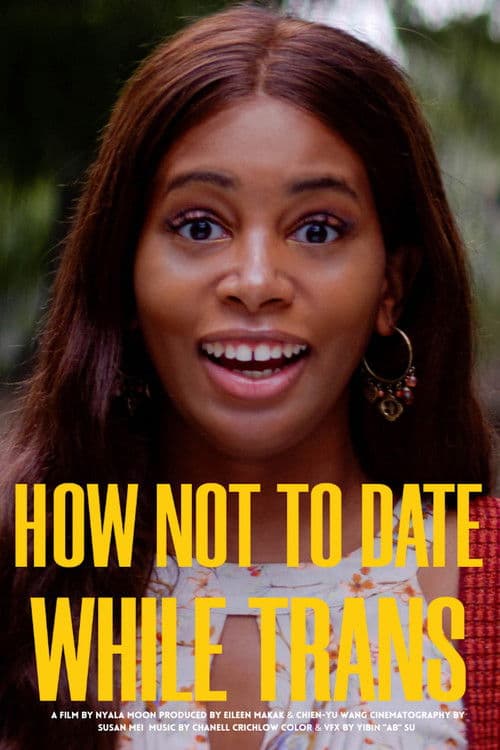 How Not to Date While Trans poster