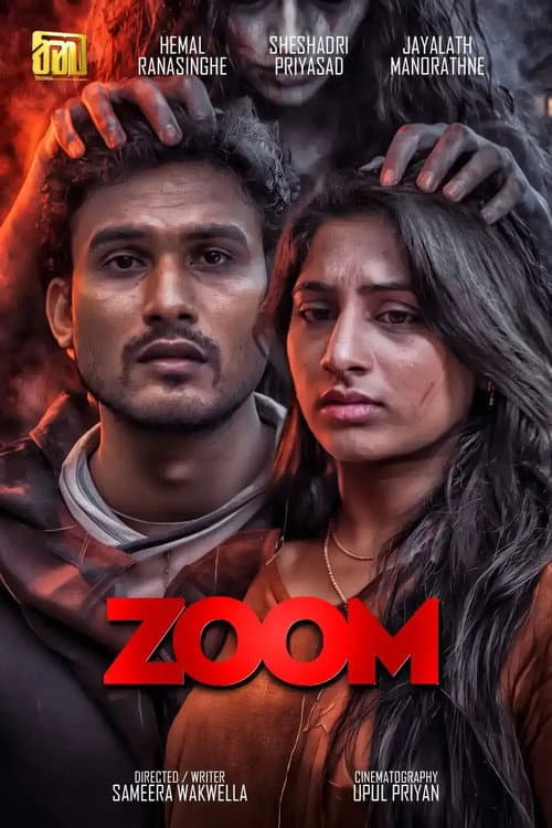 ZOOM poster