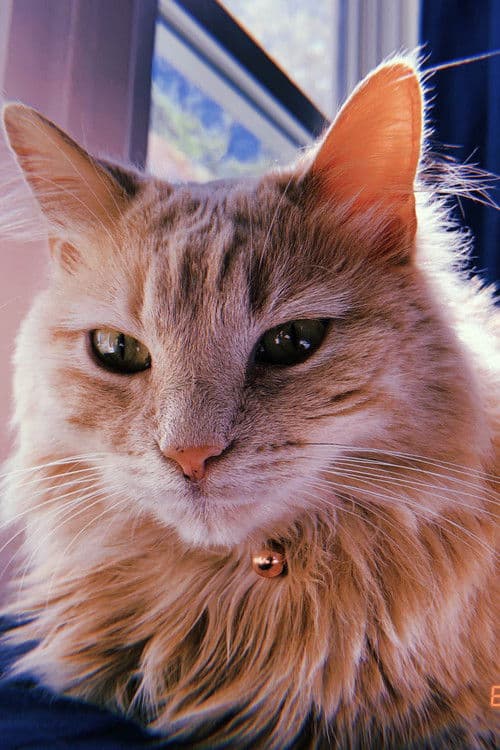 Belle Childers profile photo