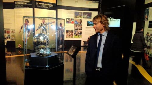 Se lvíčkem v srdci poster