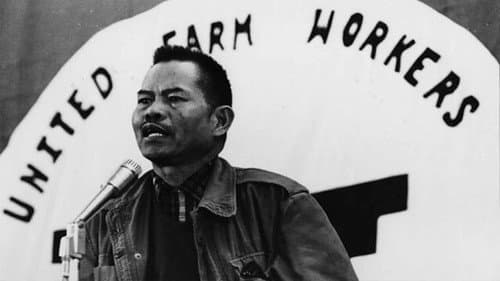 The Delano Manongs: Forgotten Heroes Of The United Farm Workers Movement poster
