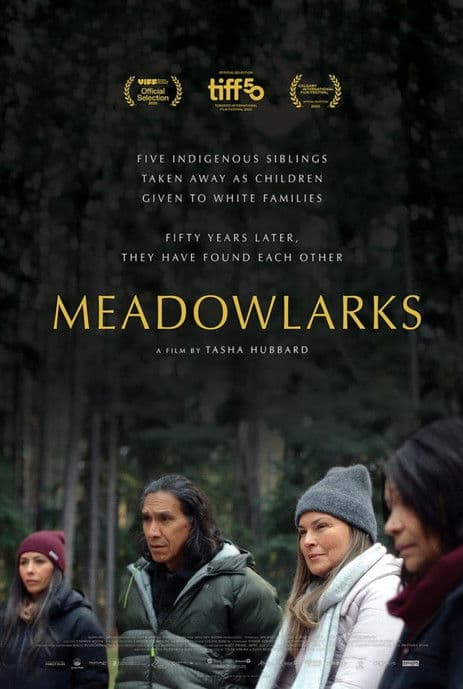 Meadowlarks poster