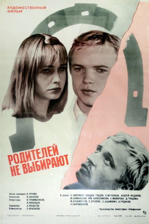 Parents are not Chosen poster