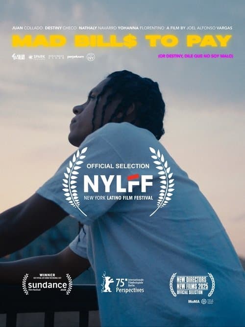 Mad Bills to Pay (or Destiny, dile que no soy malo) poster
