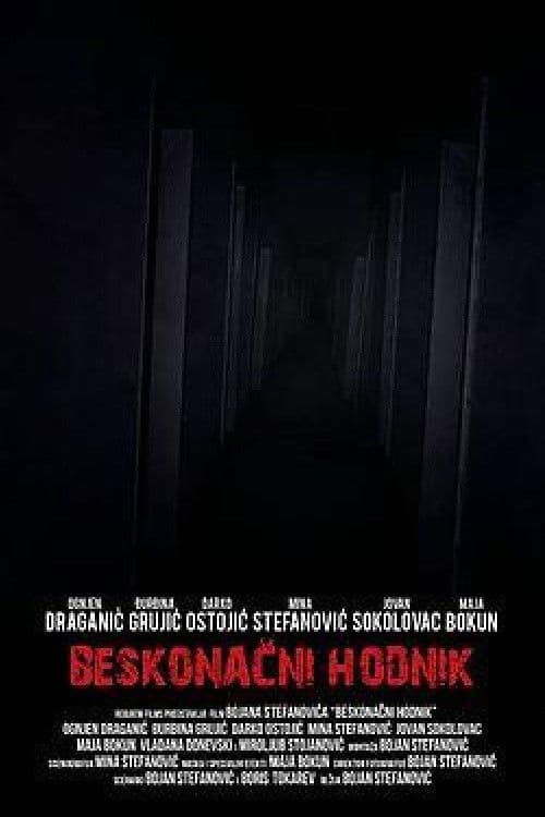 Endless Corridor poster
