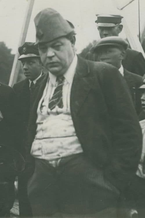 Kvick som Blixten poster