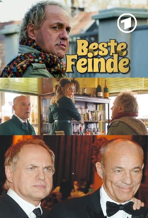 Beste Feinde poster
