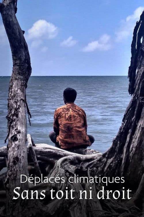 Climate Refugees: A Global Challenge poster