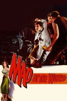 Mad at the World poster