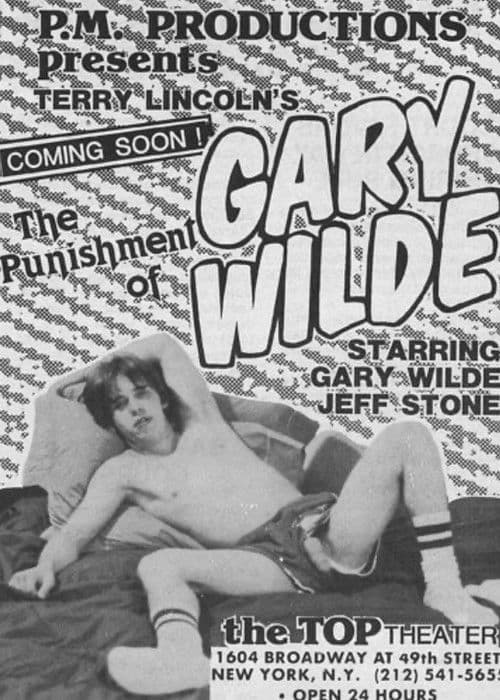 The Punishment of Gary Wilde poster