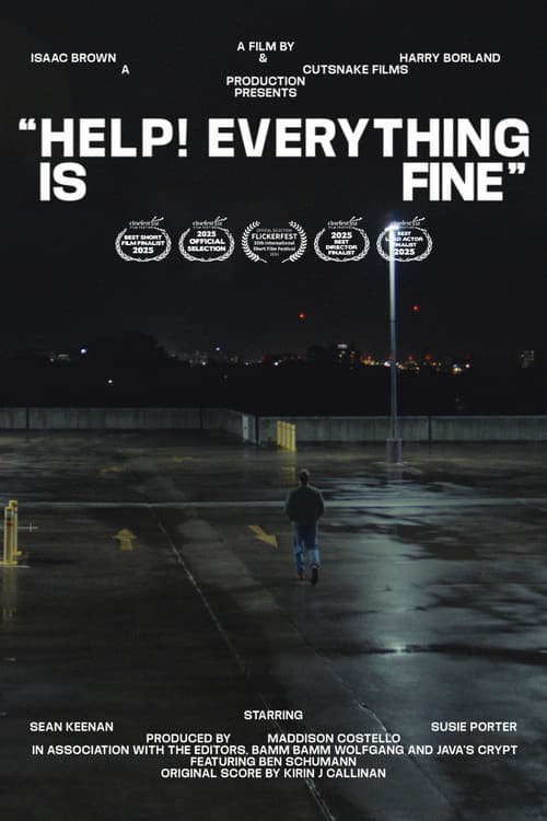Help! Everything is Fine poster
