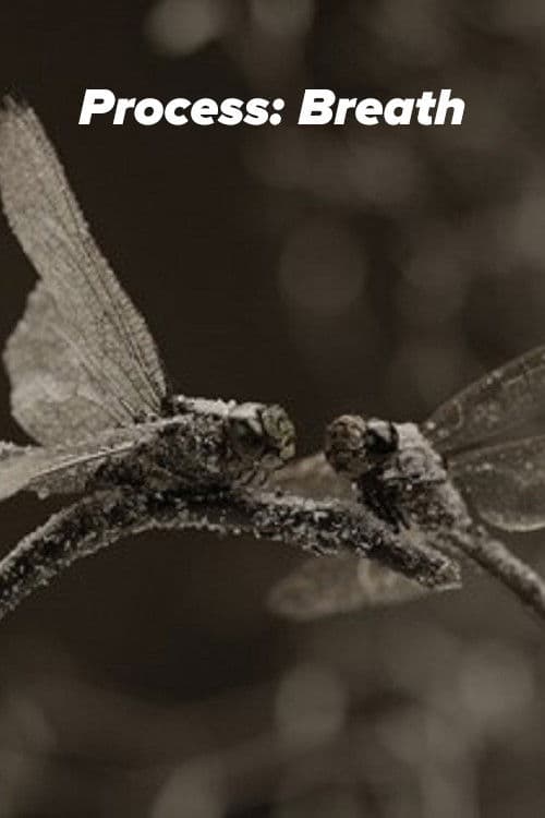 Process: Breath poster