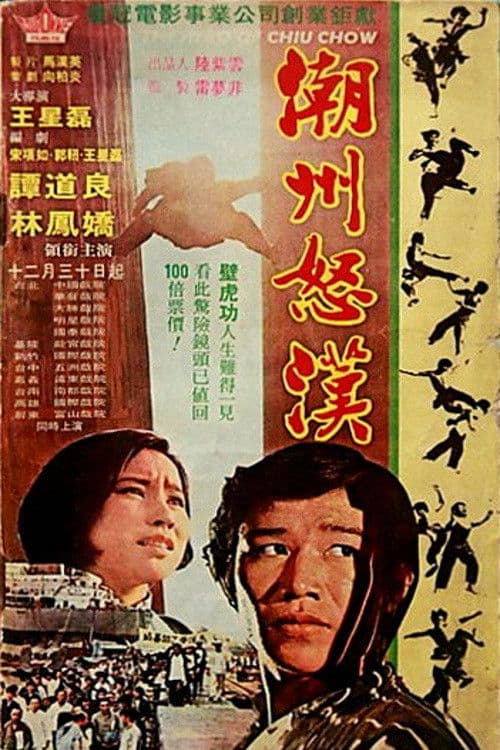 The Hero of Chiu Chow poster