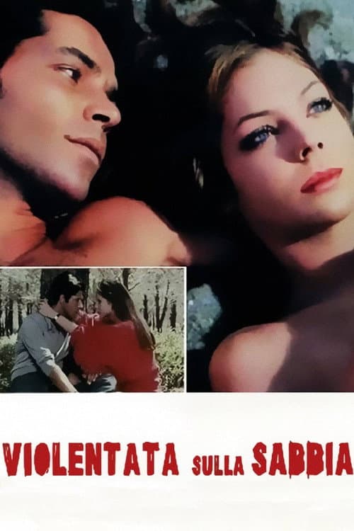 Raped On The Beach poster