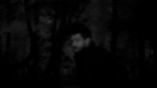 NORTHEASTERN TREES poster