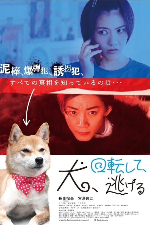 Dog Turns and Runs Away poster