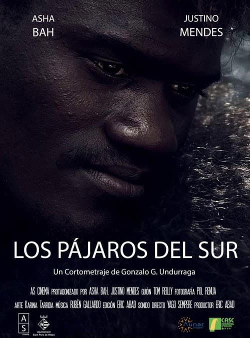 Los Pájaros del Sur poster