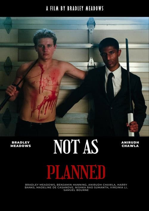 Not As Planned poster