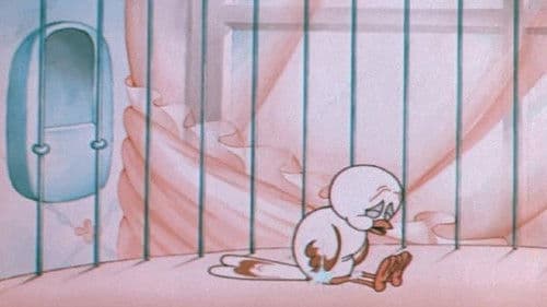 The Discontented Canary poster