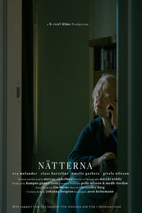 At Night poster