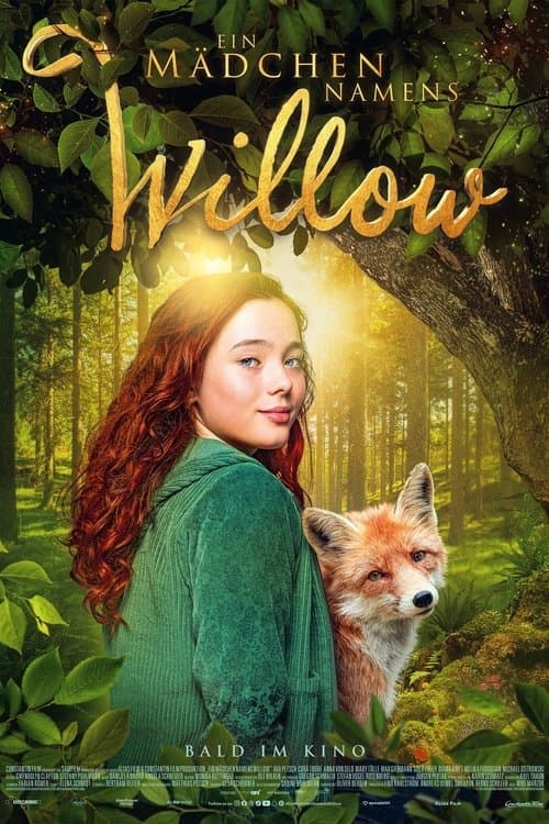 A Girl Named Willow poster