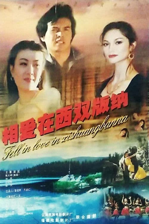 相爱在西双版纳 poster
