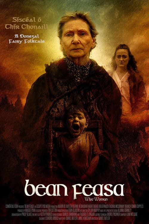 Bean Feasa poster