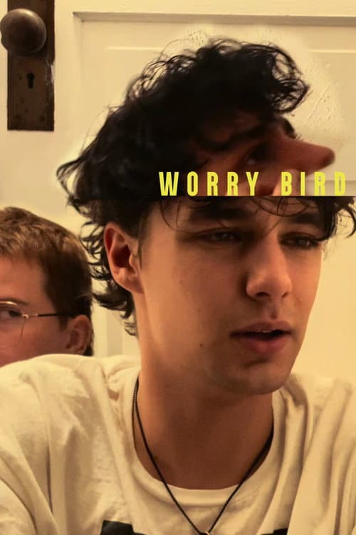 Worry Bird poster