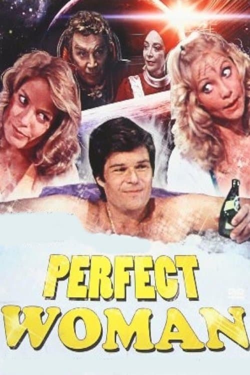 The Perfect Woman poster