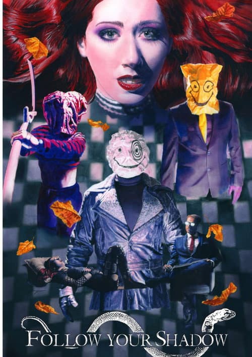 Follow Your Shadow poster