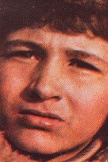 Polat A. Jöntürk profile photo