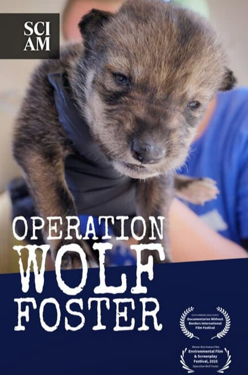 Operation Wolf Foster poster