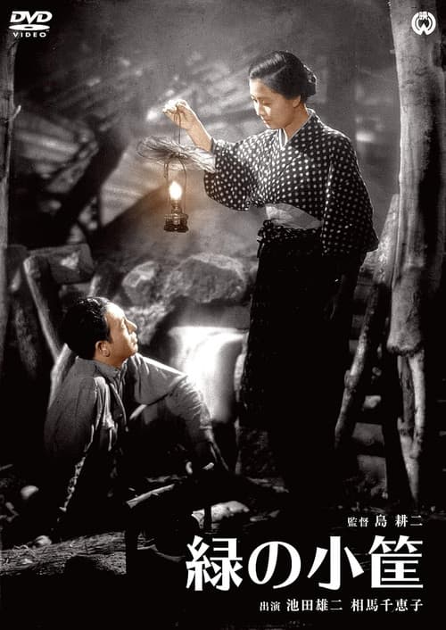 The Little Green Box poster