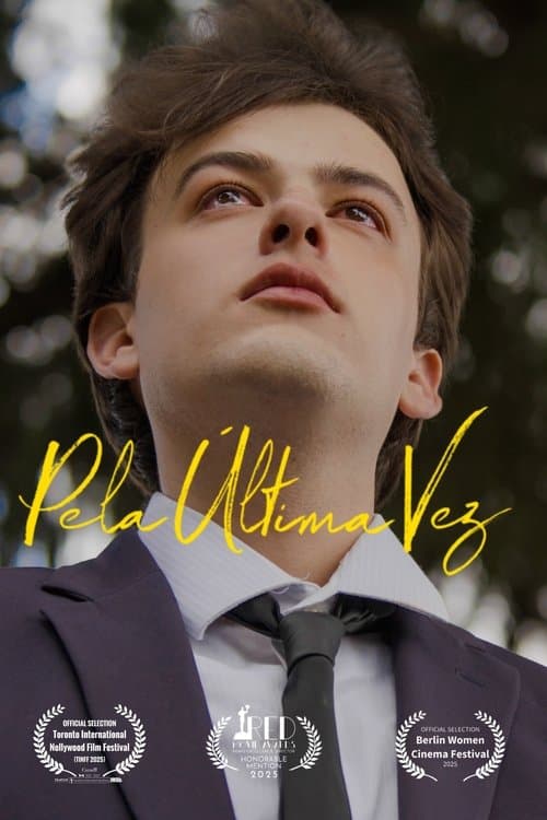 For the Last Time poster