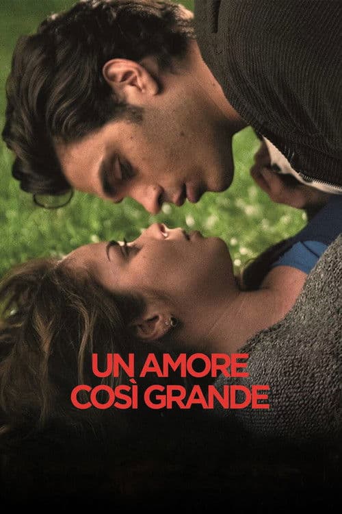 Un Amore così grande poster