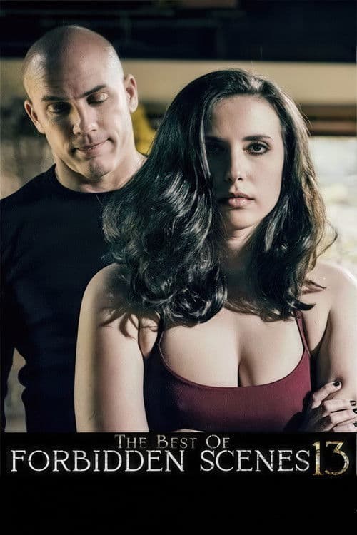 The Best of Forbidden Scenes 13 poster