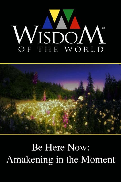Be Here Now: Awakening In the Moment poster
