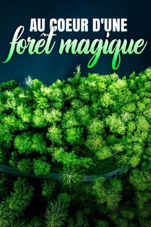 Au cœur d'une forêt magique poster