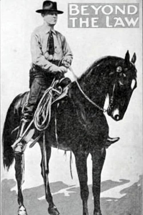 Beyond the Law poster