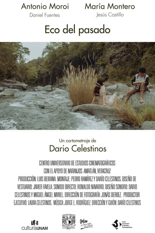 Echo of the Past poster