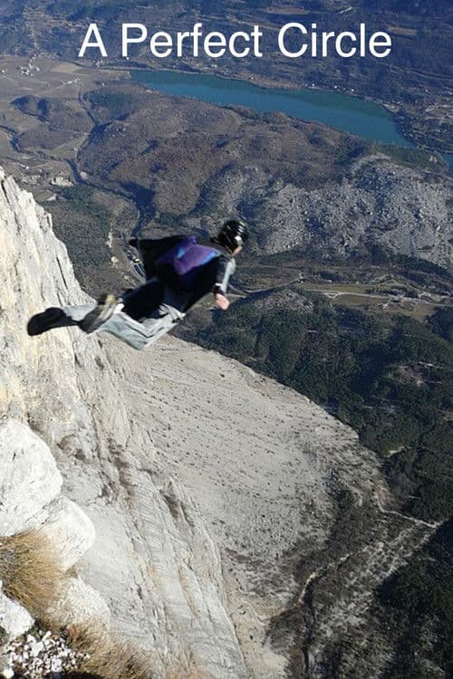 A Perfect Circle poster