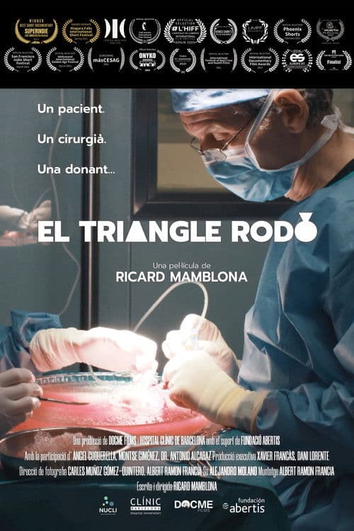 El triangle rodó poster
