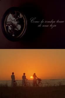 Como la sombra tenue de una hoja poster