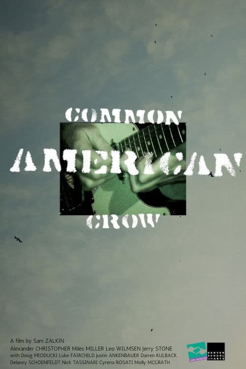 Common American Crow poster